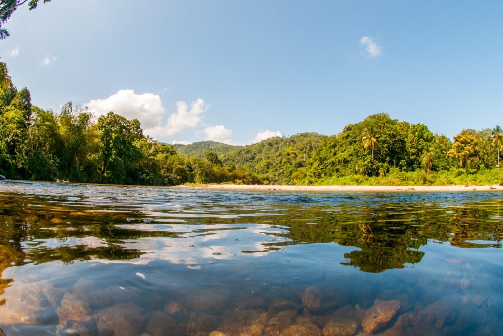 Paisaje de Palomino